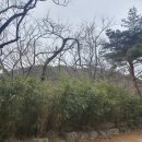 이마트24 SMART 포항보경사점