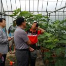 정종순농장 이미지