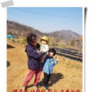 손자농장 이미지