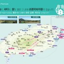 프렌치 비자림 이미지