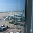 417 | 홍콩 항공권 캐세이퍼시픽 CX417 A330 좌석 기내식 및 탑승 후기