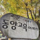 114대림 공인중개사사무소 | [불장] 구리시 교문동, 교문아파트(교문대우, 교문동양고속) 임장 후기 / 🔥