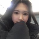 돌돌필