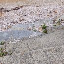 욱곡마을회관 이미지