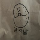 라보노래연습장 | 여름을 나는 일상