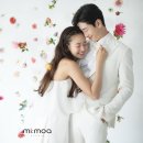 미모아 - 서구 | 미모아
