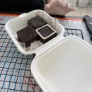 빵긋댕긋 이미지