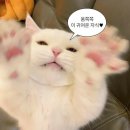 찍사유 이미지
