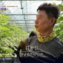 으뜸농장 티스토리