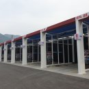 셀세모 금붕점 이미지