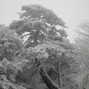 하늘그림 이미지