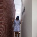 비비다아리 이미지