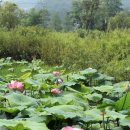 다도예절+꽃차 만들기 이미지