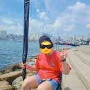 슬도낚시 | 경상남도 울산 슬도 낚시 공원 초보가 가기 좋은 방어진 방파제 낚시터 워킹 낚시 추천 후기