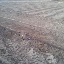 로타리슈퍼 이미지