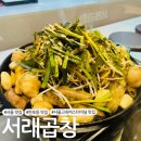 터미널지하도상가 화장실 | 서울고속버스터미널 맛집 :: 서래곱창