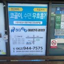 하이코코이비인후과의원 네이버블로그