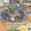 콩마을 | 운길산역 맛집 남양주 근처 물의정원 장어집 콩마을장어 복날 방문 후기