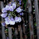 능허대초등학교 이미지