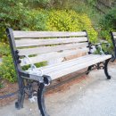 햇빛부서지는바다 이미지