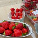 대림농장 이미지