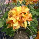 부리농장 이미지