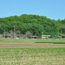 하신2리 이미지