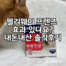 달고양이 | 펠리웨이 프렌즈, 고양이들 사이좋아질 수있을까? 내돈내산 후기