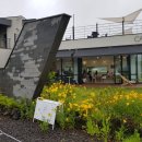 쉬림프 블로썸 이미지