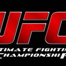 UFC 국제 GYM 이미지