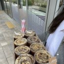 립밤,하노이별,꼭그닭 치킨,아티제 망고빙수,신전로제떡볶이,까사커피,캠토토스트,멸치국수,벙개막창