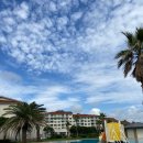 해비치리조트 이미지