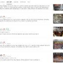 가정식품 | 리큅 스테인리스 10단 가정용 식품건조기 LOD-S1000SS 솔직 후기