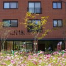 코스모스피아 이미지