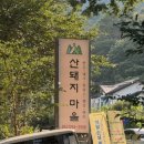 산돼지마을 | 배내골 산돼지마을 텐트예약 후기(샤워시설,택시교통편이용방법, 계곡물놀이 후기) // 부산근교계곡