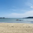 일광물회 이미지