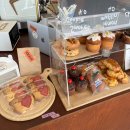 01-87 동구 | 강아지와 함께 가기 좋은 울산 감성 카페 리스트