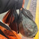 선경상회 이미지