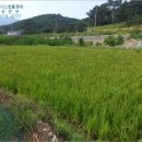 오봉1리 경로당 이미지