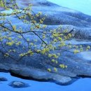 청주떡방앗간 이미지