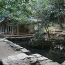 차에 관한 시 한편 - 다향만당(茶香滿堂)