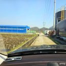 제일육묘장