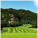 센츄리골프연습장 이미지