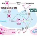 기분좋은약국 이미지