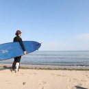 김가네식당 이미지