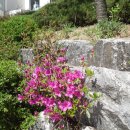 석촌공원길 이미지