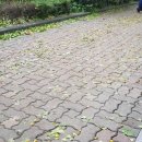 공공용 44 이미지