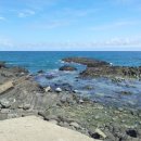 양남주상절리 이미지