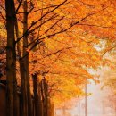 나를 찾아가는 여행 이미지