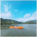 자연로하스 이미지